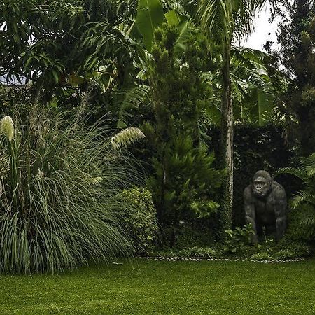 Miacatlán Casa Domingo Hotel Petit المظهر الخارجي الصورة