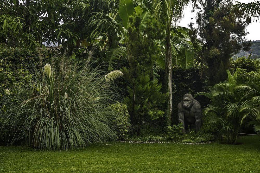 Miacatlán Casa Domingo Hotel Petit المظهر الخارجي الصورة